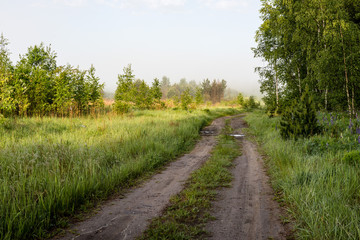 Fototapeta na wymiar empty road in the countryside in summer