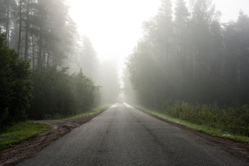Fototapeta premium empty road in the countryside in summer