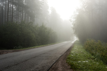 empty road in the countryside in summer