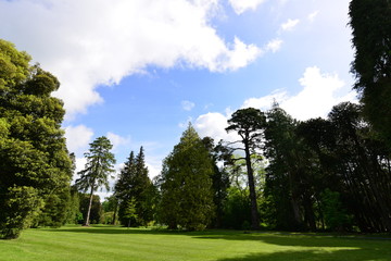 Obraz premium The gardens at Woodstock in Ireland 