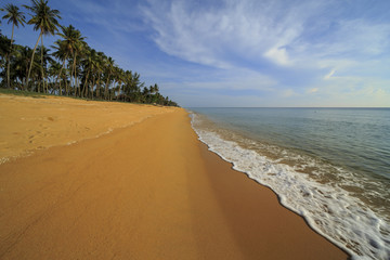 A beautiful view of beach side with ocean waves, blue sky and coconut trees at Terengganu, Malaysia