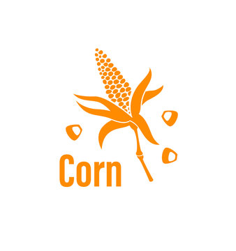 Corn vegetable icon.