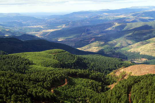 Fototapeta Landscape in Mpumalanga
