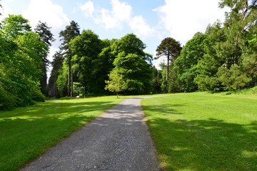 Fototapeta premium The gardens at Woodstock in Ireland 