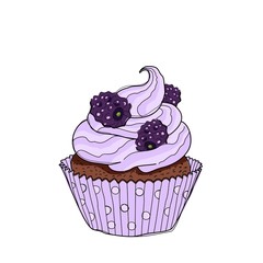 Hand drawn cupcake with doodle buttercream for pastry shop menu. Blackberry flavor. Vector illustration