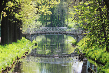 Fototapeta na wymiar Metal bridge at System of lakes in the Gatchina Park.
