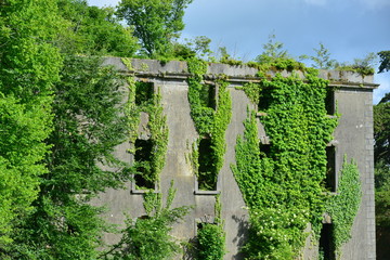 The burnt out remains of Woodstock house.
