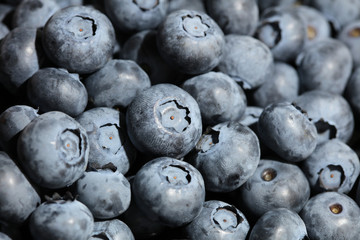 Blueberry