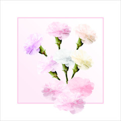 Flowers Roses elements - Róże kwiaty elementy