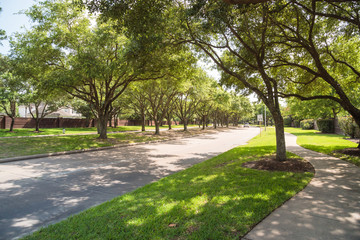 Side view of asphalt road, street in suburban residential area with lot of green trees in Katy, Texas, US. America is an excellent green and clean country. Environmental and transportation background.