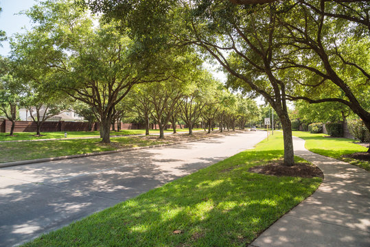 Side View Of Asphalt Road, Street In Suburban Residential Area With Lot Of Green Trees In Katy, Texas, US. America Is An Excellent Green And Clean Country. Environmental And Transportation Background.