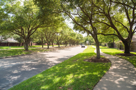 Side view of asphalt road, street in suburban residential area with lot of green trees in Katy, Texas, US. America is an excellent green and clean country. Environmental and transportation background.