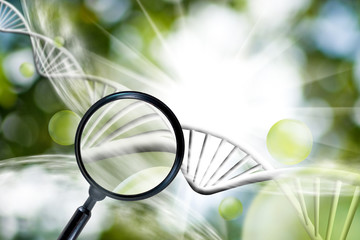 image of magnifier on chain of DNA  background