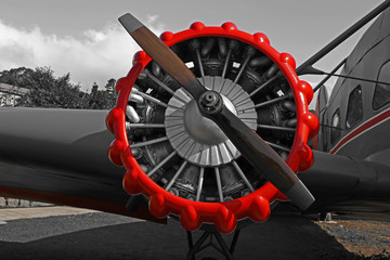 Flugzeugmotor