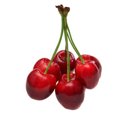 Cherry on white background