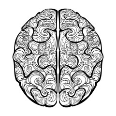 Black and white vector of human brain. Hand drawn doodle decorated with waves. A left and right hemispheres top view