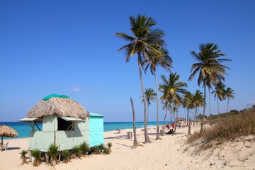 Cuba beach palm trees