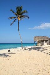 Cuban beach