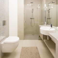 Light bathroom with glass shower cabin