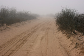 Naklejka premium Long distance cycling in the misty desert, South of San Javier, Baja California Sur, Mexico