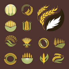 Cereal ears and grains agriculture industry or logo badge design vector food illustration organic natural symbol