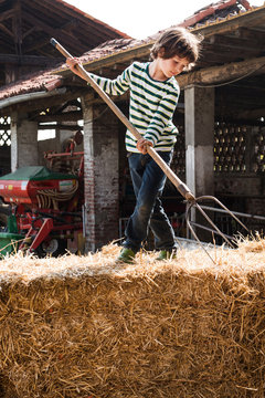 Boy on straw bale with pitchfork on organic dairy farm