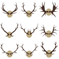 Deer horns