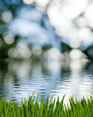Obraz na płótnie Canvas image of grass and river close-up