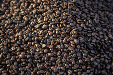 coffee bean
