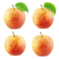 Apple Collection Isolated on White Background