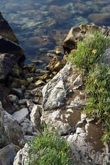 Rocks on the Adriatic coast