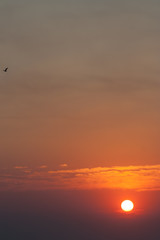 sunrise at the seaside in south africa