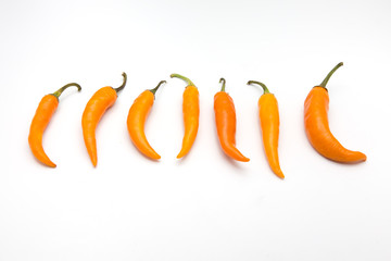 yellow chili pepper isolated on a white background