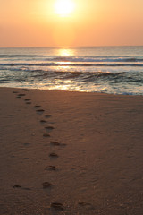 footprints in the sand