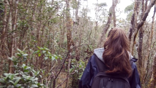 Follow to female tourist with backpack walking on the tropical wet forest. Young girl in raincoat going on wood trail during travel. Hiking woman stepping in jungle path. Rear back view