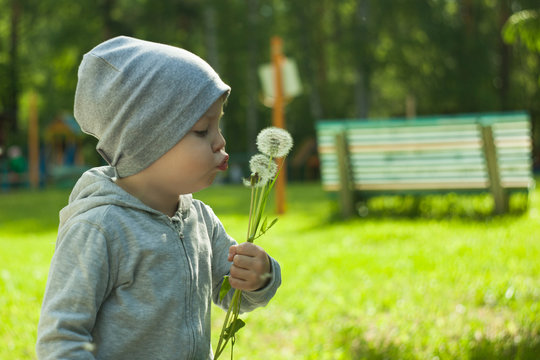 Cute little toddler boy playing with flowers in park at the day time