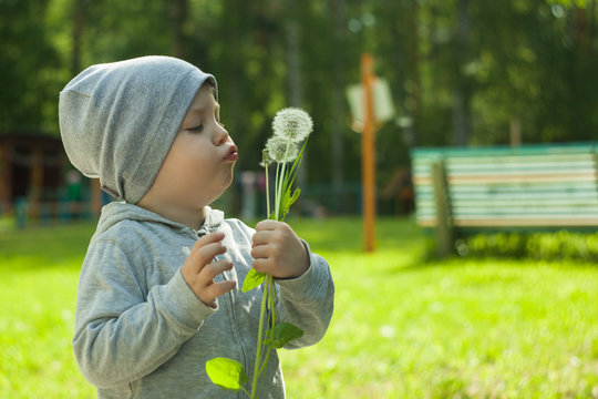 Three years old child, toddler boy blowing Dandelions seed outdoor in spring garden