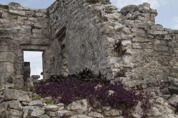 Tulum Messico rovine maya Quintana Roo