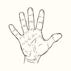 Hand gesture Five fingers