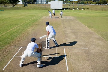 Naklejka premium High angle view of cricket match at field