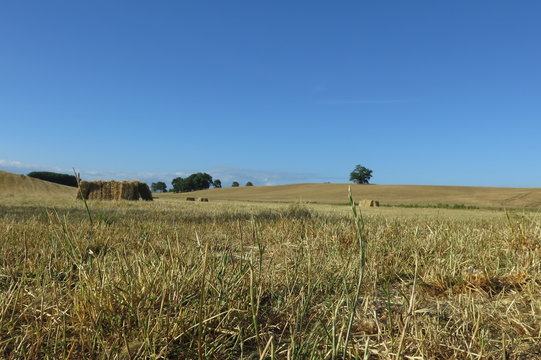 campo con ballette di paglia