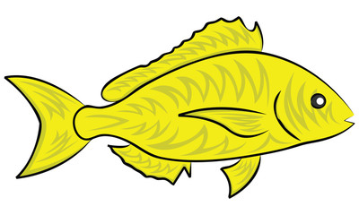 fish