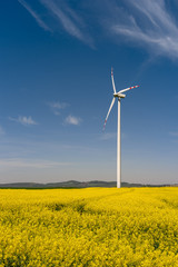 Wind turbine in a blooming canola field