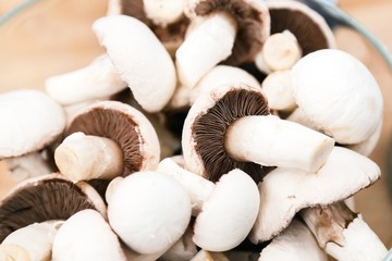 fresh champignon mushrooms