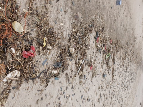 Strandungsabfall 