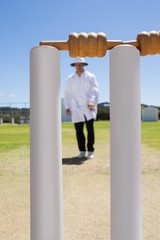 Cricket stumps against referee on field