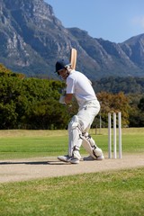Obraz premium Side view of cricket player playing on field