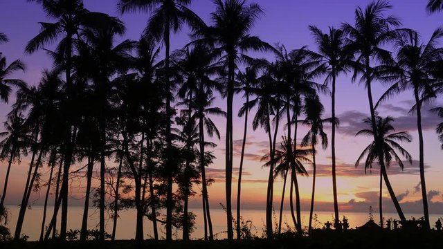 Time lapse sunrise. View of dawn of sun over sea through palm trees on beach, Bali, Indonesia