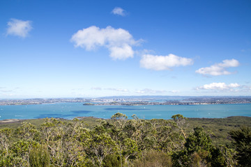 Fototapeta na wymiar Auckland city skyline