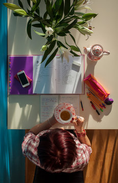 Woman Drinking Tea and Studying